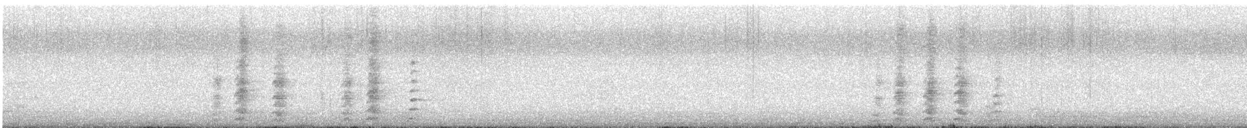 Mielero Alirrufo - ML645084319