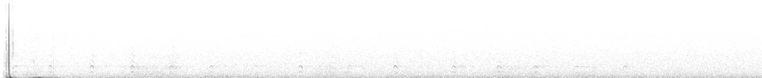 datel chocholatý - ML645084462