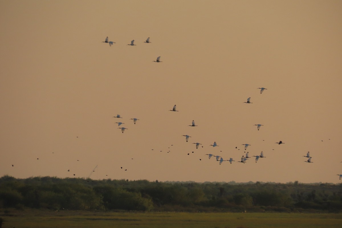 Ak Aynak - ML645085630