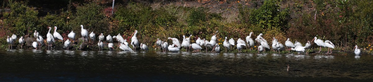 Ak Aynak - ML645085783