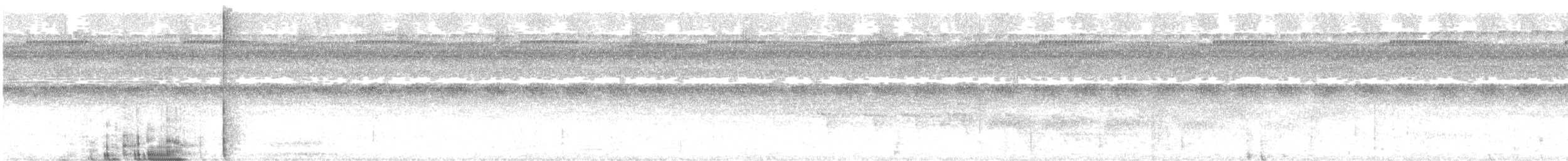 Мурав’янка-прудкокрил перуанська - ML645085953