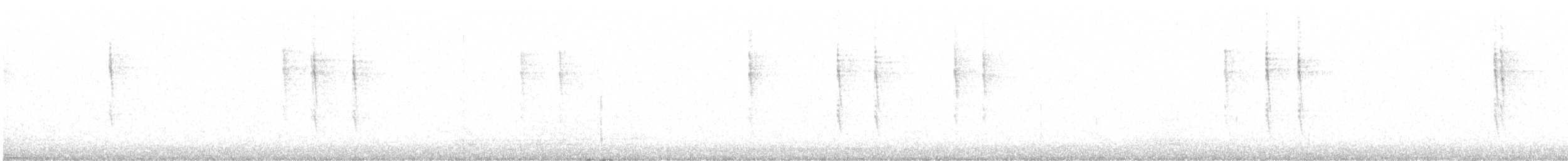 Волоочко кордильєрське - ML645086524