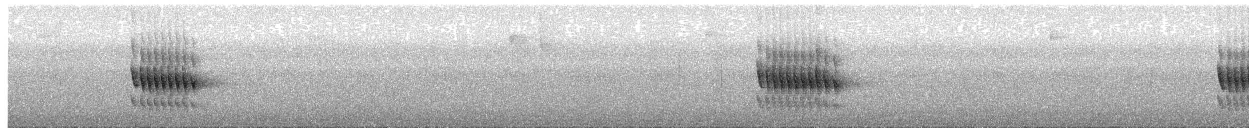 Тапакуло сріблистолобий - ML645087088