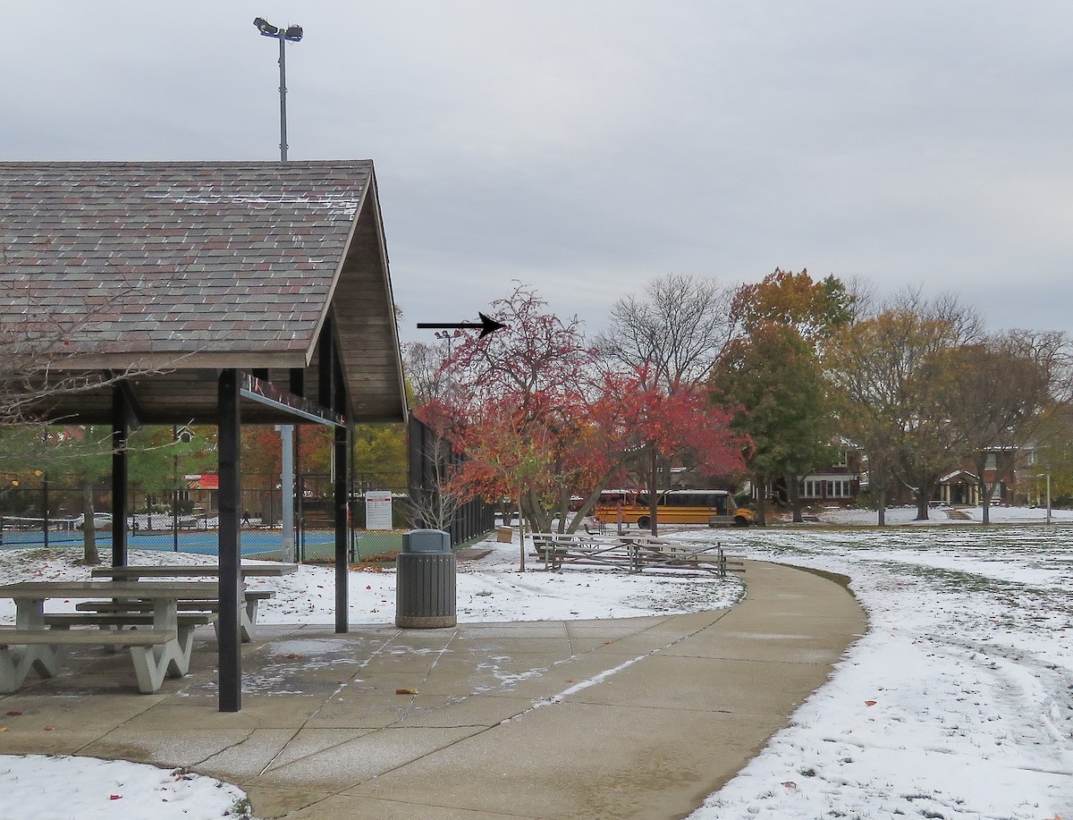 vandretrost - ML645087815