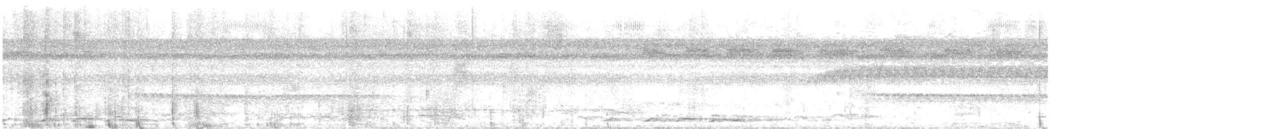 Microbate à long bec (groupe melanurus) - ML645088468