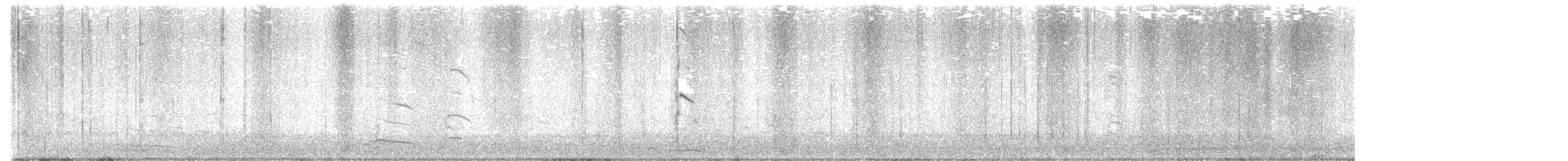 Short-billed Gull - ML645089367