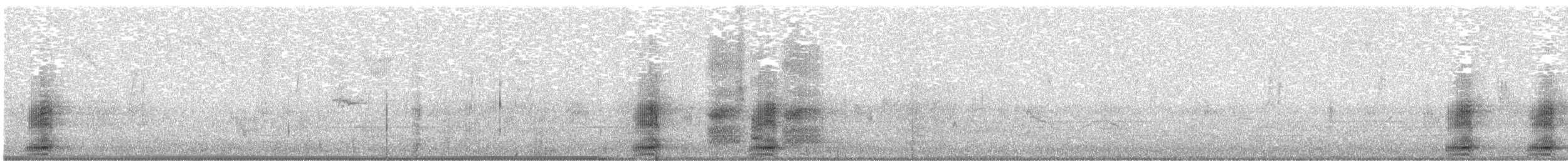 Common Raven - ML645089375