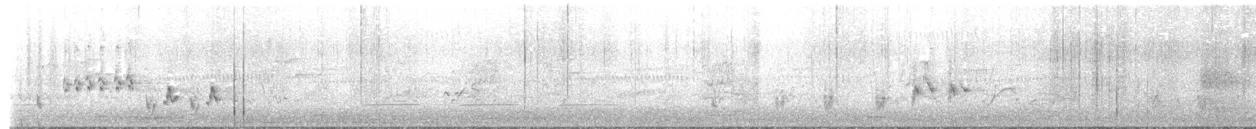 Australasian Grebe - ML645089462