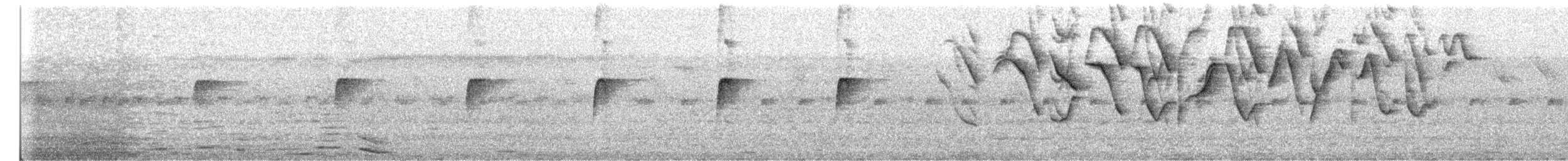 Spotted Tody-Flycatcher - ML645089870
