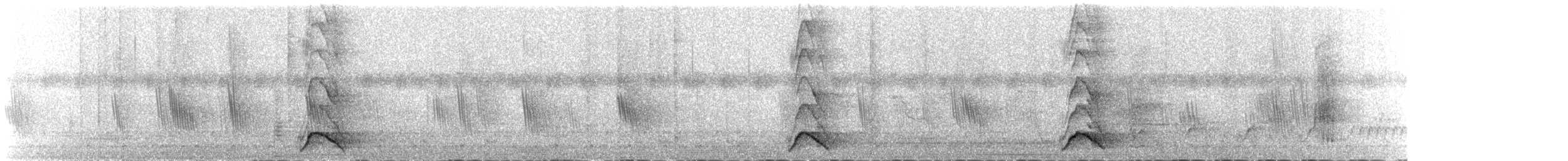 White-throated Magpie-Jay - ML645090008