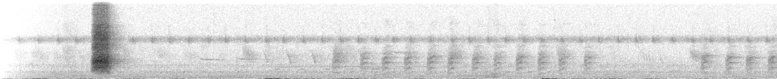 White-throated Magpie-Jay - ML645090009