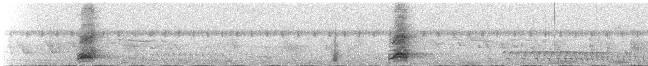 White-throated Magpie-Jay - ML645090010