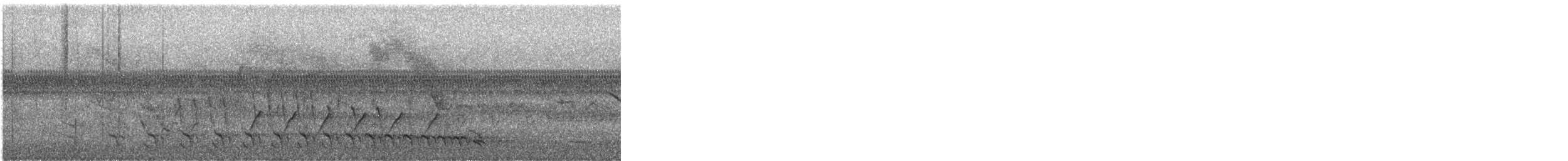 Bar-crested Antshrike - ML645090160