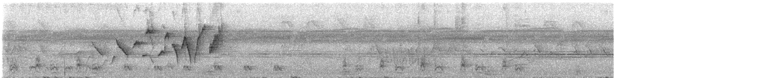 Jet Antbird - ML645090442