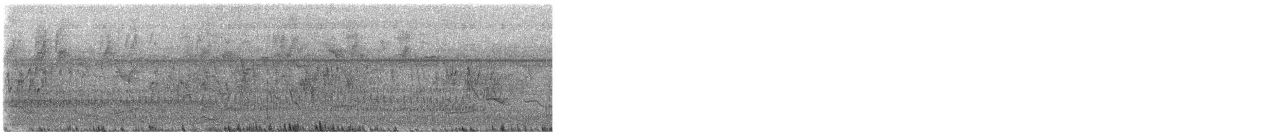 White-throated Crake - ML645090627