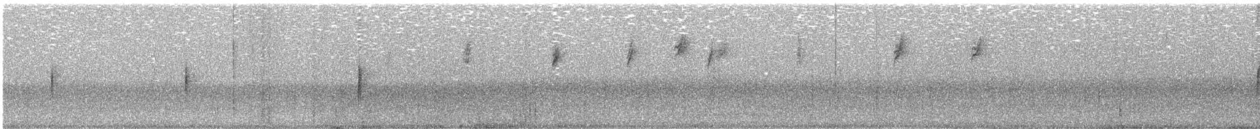 Yellow-rumped Warbler (Myrtle) - ML645090958