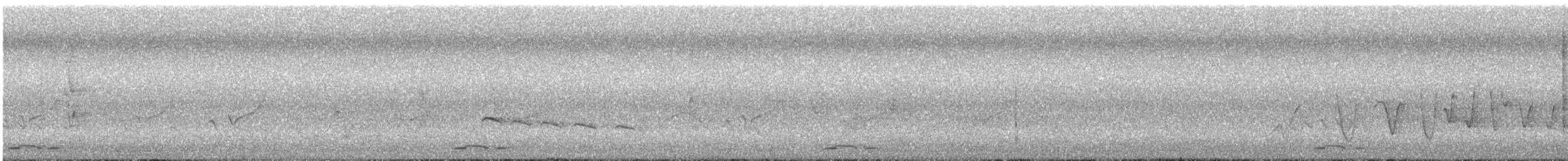 Cuclillo Menudo - ML645091031