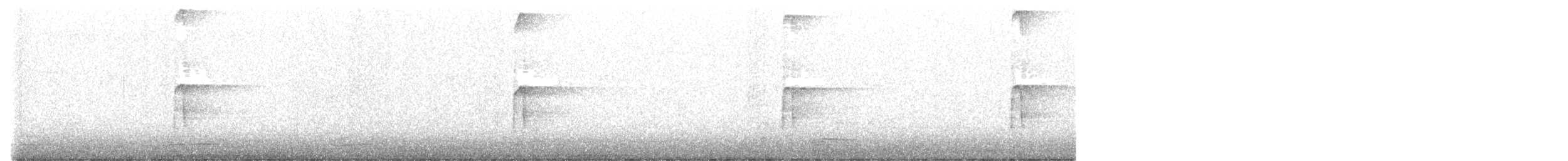 strakapoud americký [skupina harrisi] - ML645091704