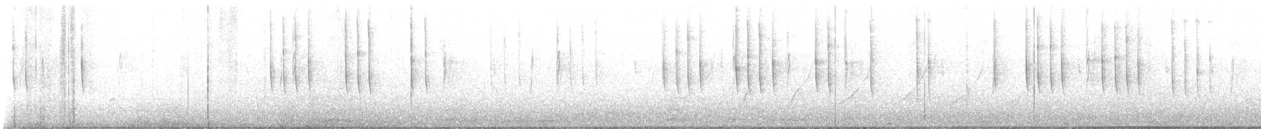 White-eared Hummingbird - ML645091901