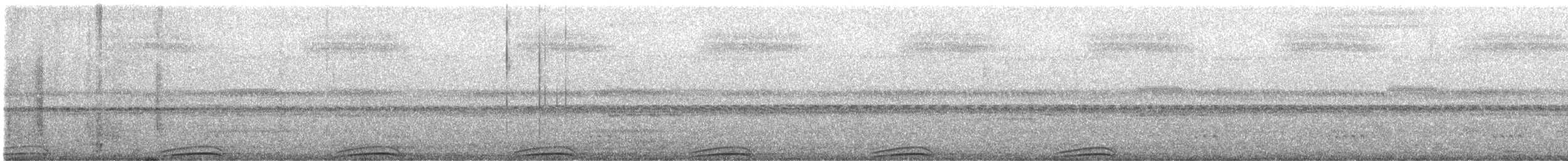 Cárabo Blanquinegro - ML645092009