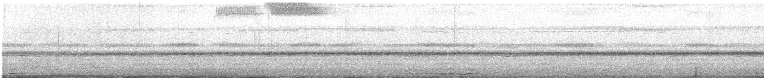 Autillo Chóliba - ML645092219