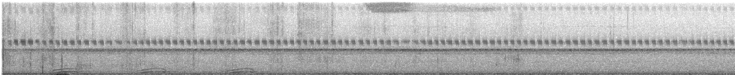 Cárabo Blanquinegro - ML645092650