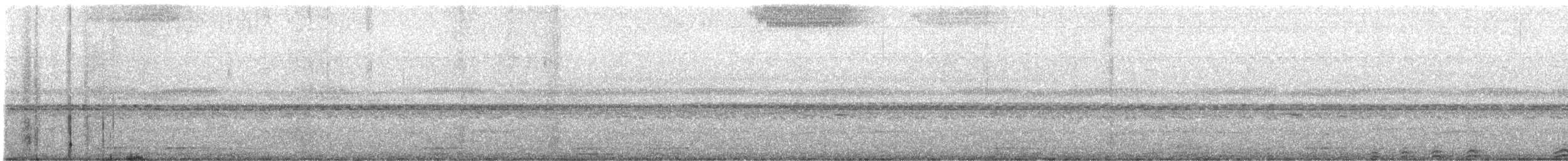 Cárabo Blanquinegro - ML645092681