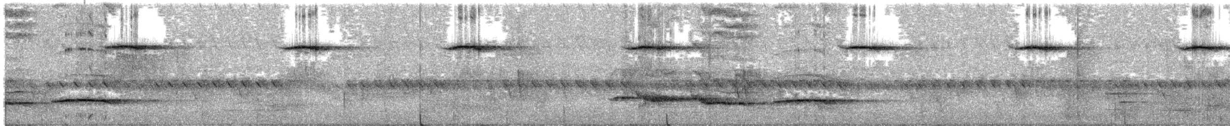 Spectacled Barwing - ML645093005