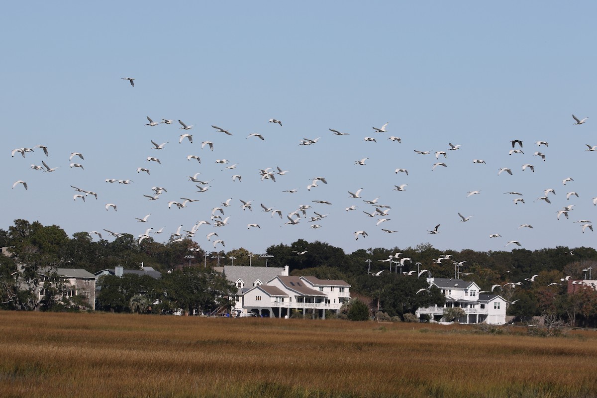 Ak Aynak - ML645093260