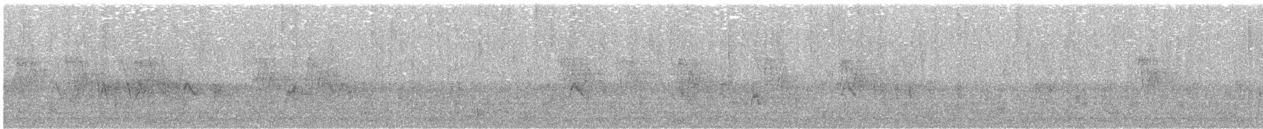 House Sparrow - ML645093428