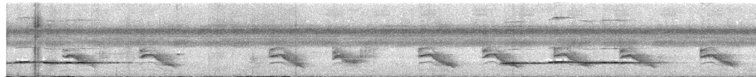 Pavonine Cuckoo - ML645093591