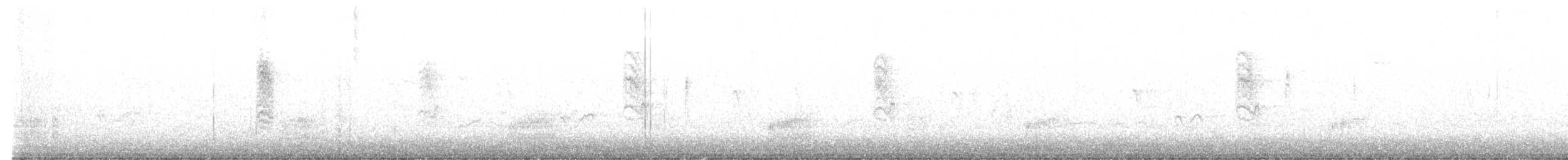 Magnolia Warbler - ML645095067