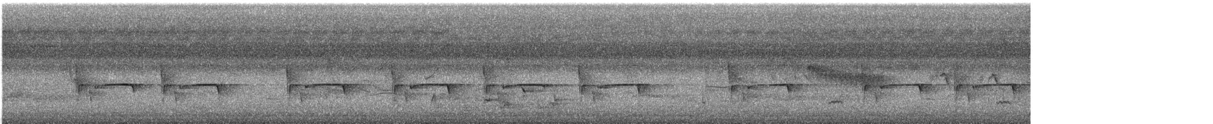 Sastrecillo Ceniciento - ML645095328