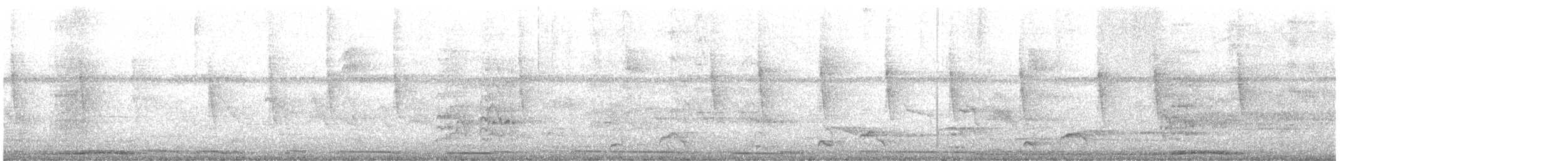 Zenaida Aliblanca - ML645095451