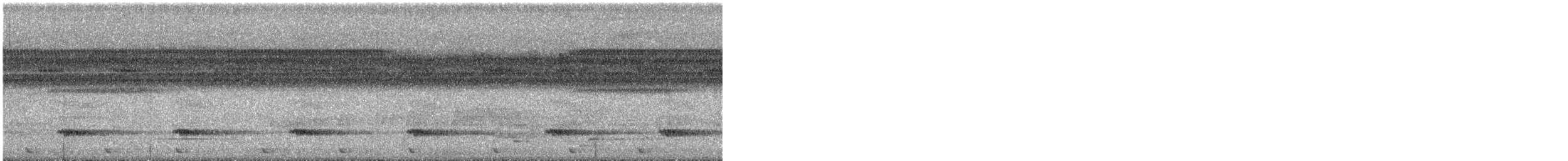 Barbudo Arlequín - ML645095557