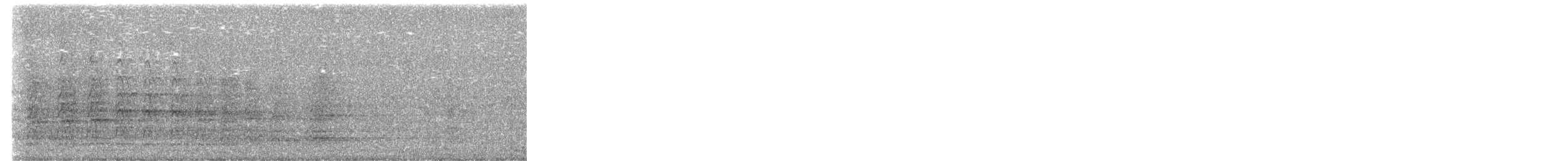 Oriental Pied-Hornbill - ML645096043