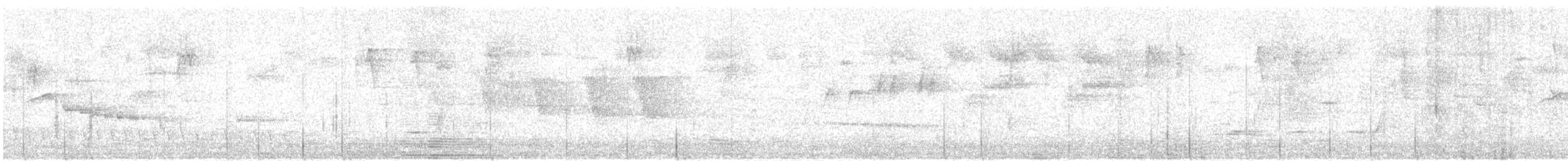 Rufous Scrub-bird - ML645096252