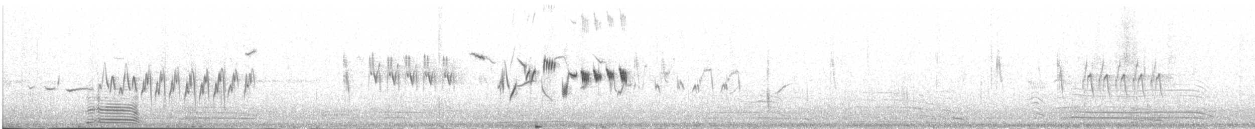 Blue-fronted Redstart - ML645096743