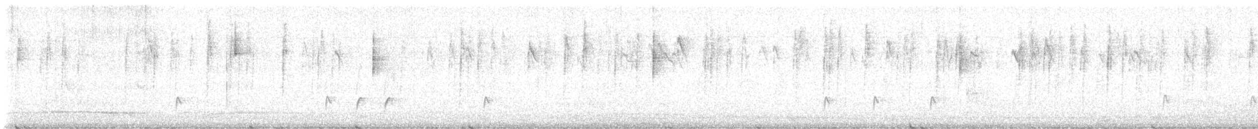 Greater Pewee - ML645096889