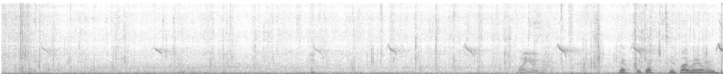 gulbrynkjernebiter (brooksi) - ML645097159