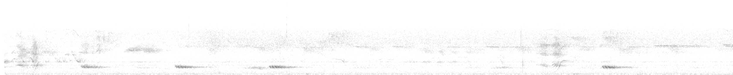 malabarbeostær - ML645097299