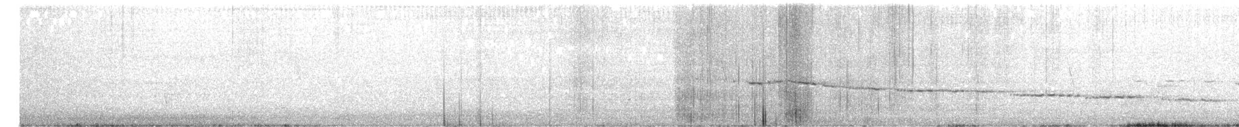 Белогорлая геригона - ML645097302