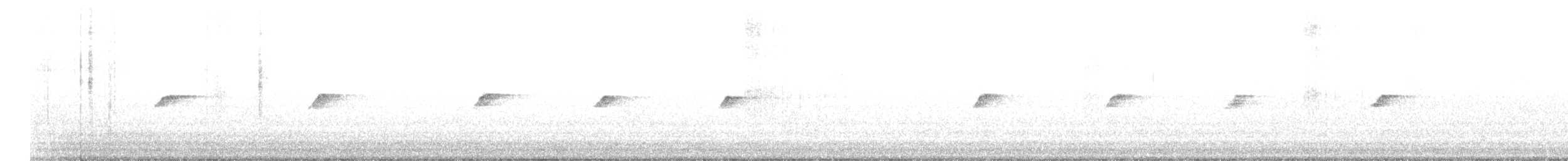 blåstjert - ML645097309