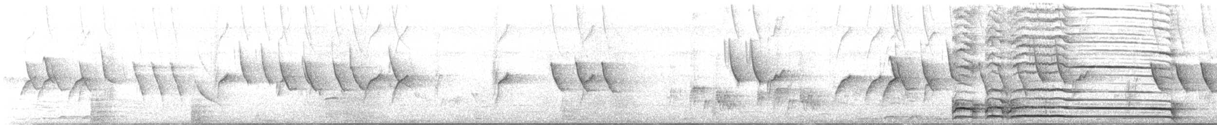 African Pied Wagtail - ML645097940