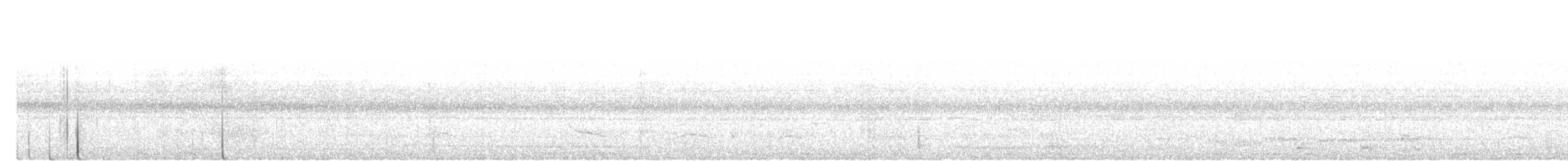 White-crowned Hornbill - ML645098050