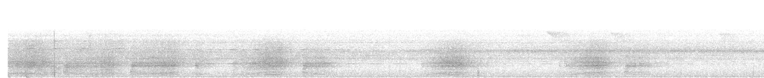 Black Hornbill - ML645098056