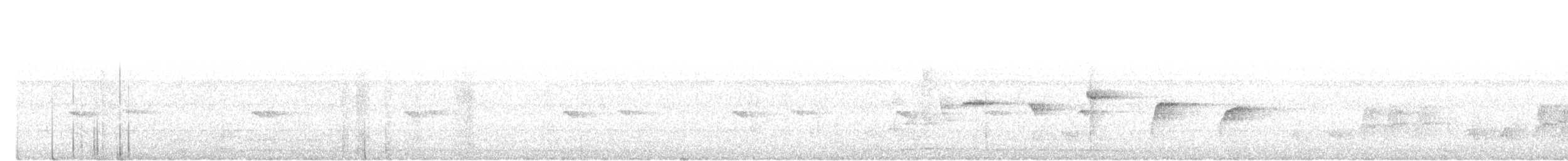 Віялохвістка строката - ML645098133