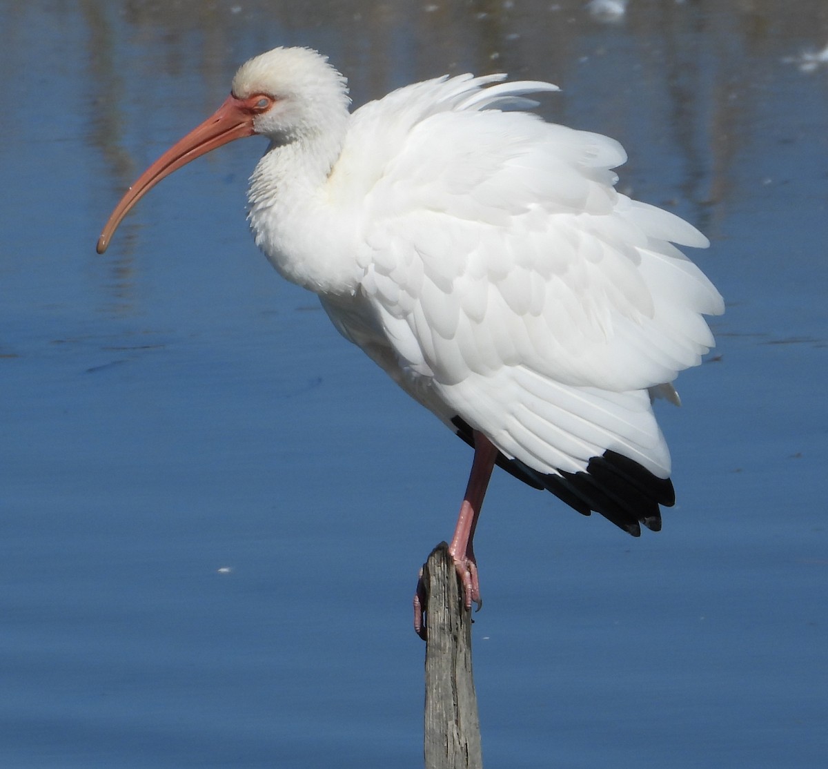 Ak Aynak - ML645098220