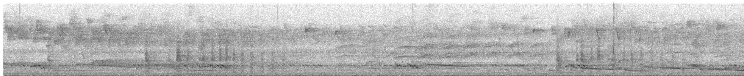 Dollarbird - ML645098379