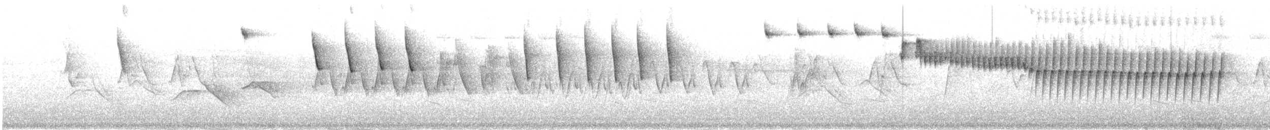 Вівчарик гансуйський - ML645098481